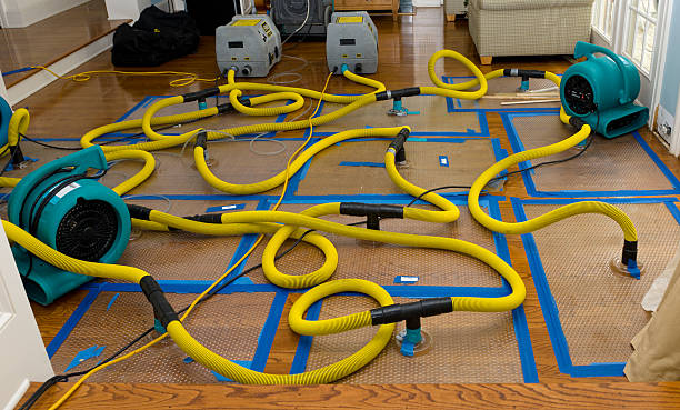 Professional Basement Flood Cleanup technician working in Corinna, ME
